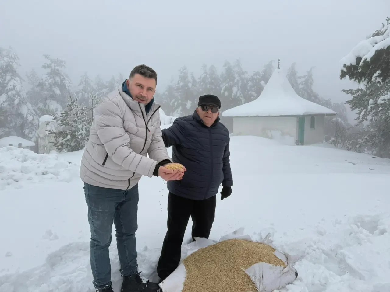 Merzifon Belediyesi’nden Hayvanlara Şefkat 2