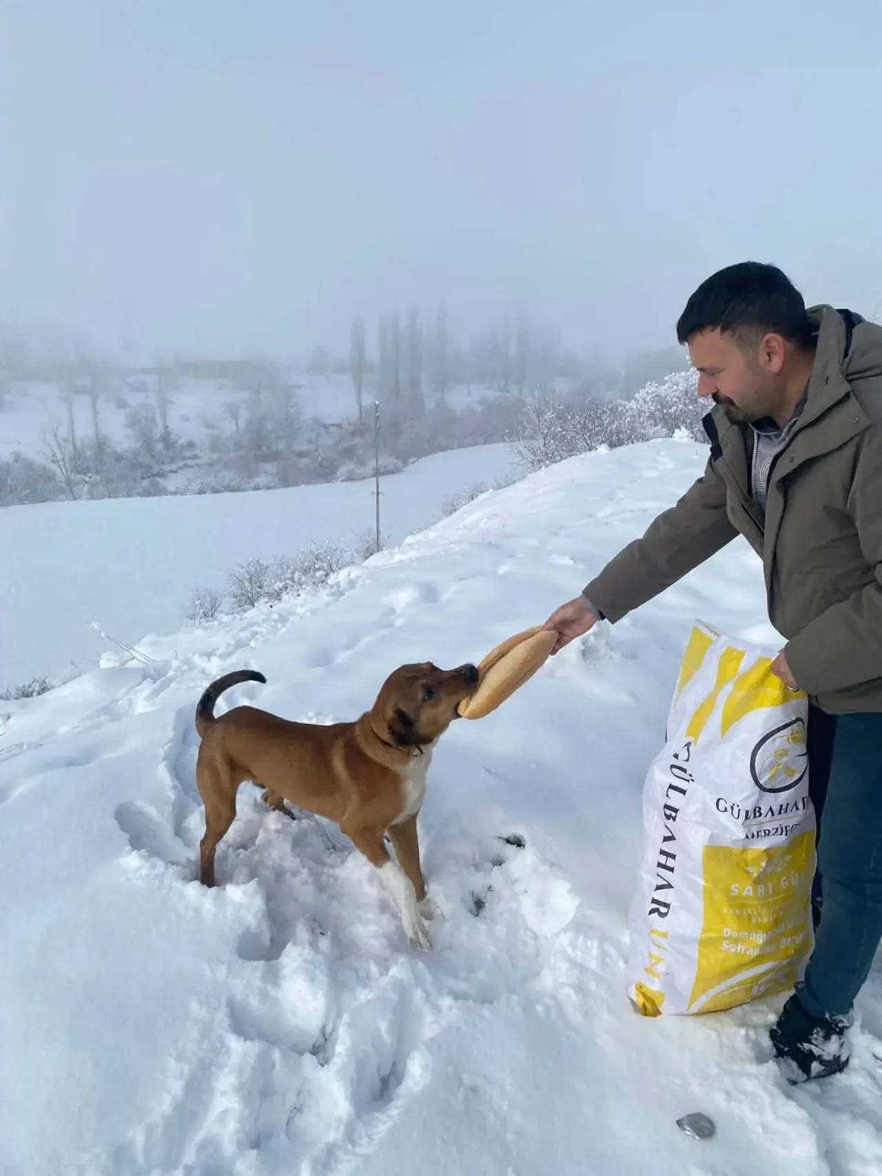 Merzifon’da 12 Park Yenilendi, Yeşil Doku Güçlendi 5