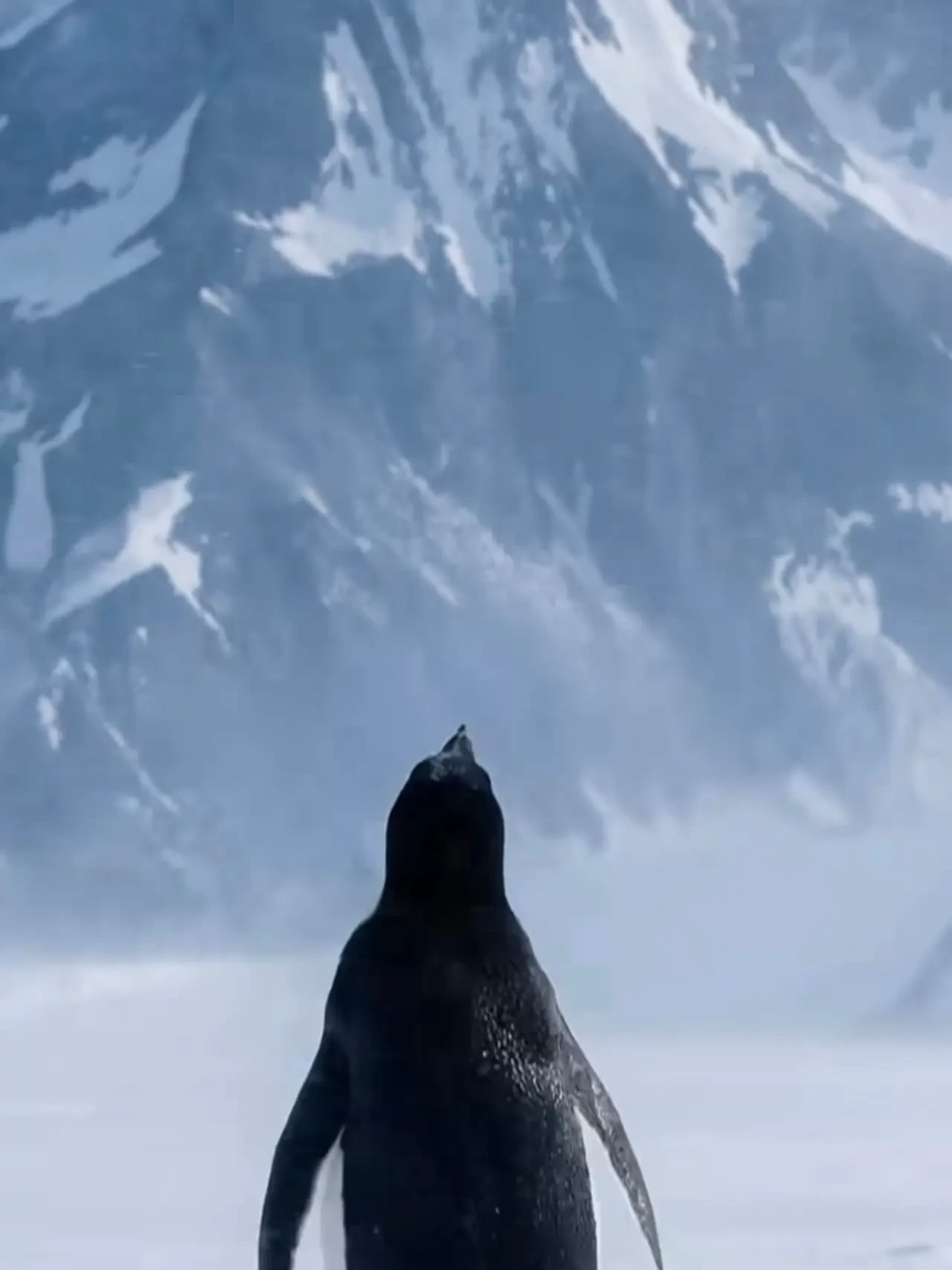 Kuralları Bozan Penguen Neden Hepimizi Sarstı? 1