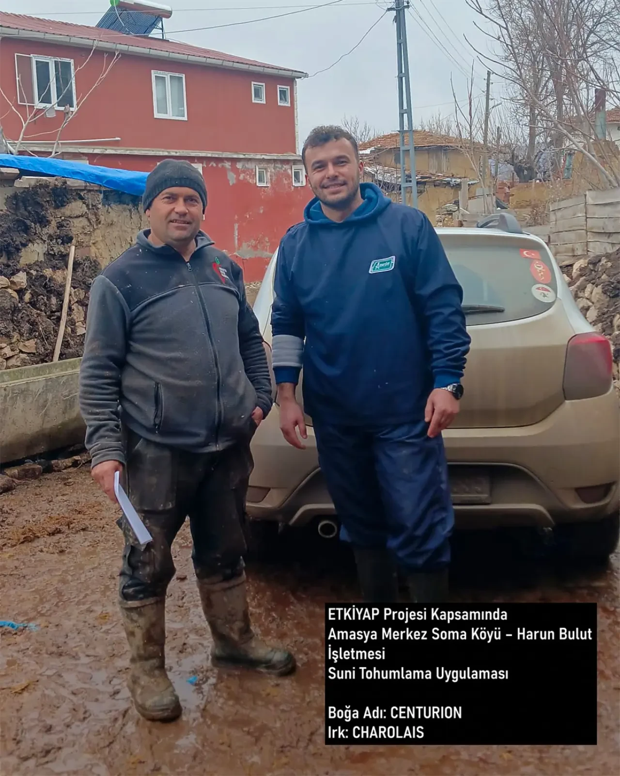 Amasya’da Etçi Üretim Atağı 2