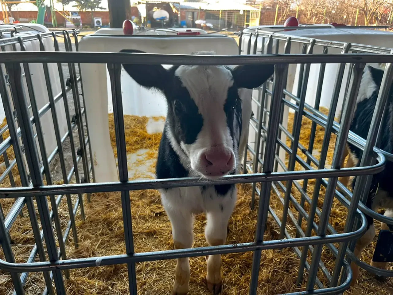 Amasya DSYB’den Kırsala Güçlü Destek 5