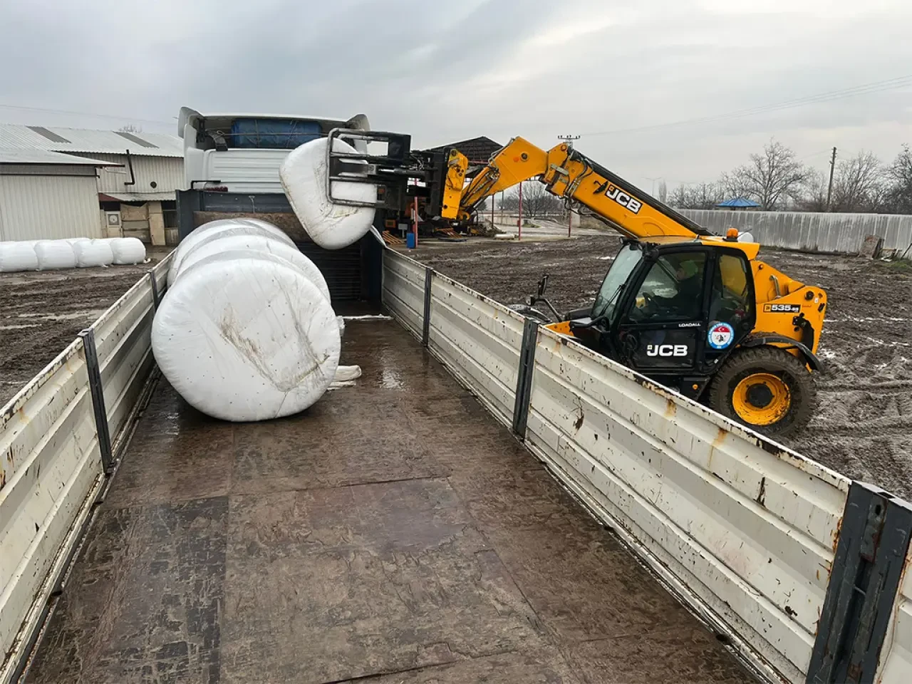 Amasya’da Üreticiye Kaba Yem Güvencesi 1