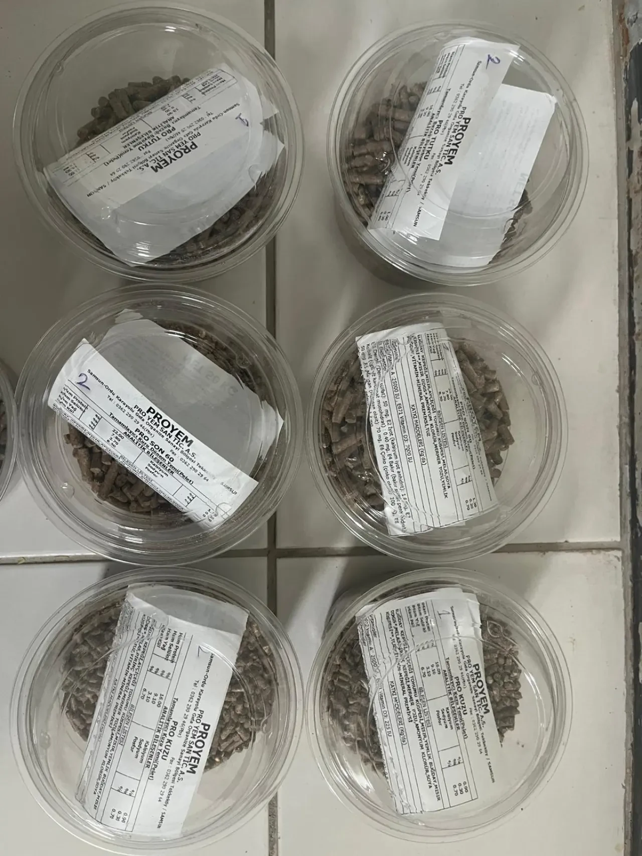 Amasya DSYB’den Üreticiye Bilimsel Destek 5