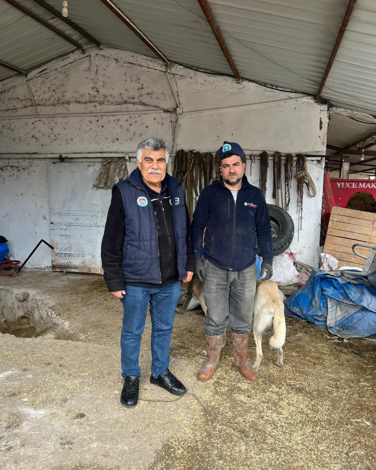 Amasya’da Hayvancılıkta Islah Hamlesi 5