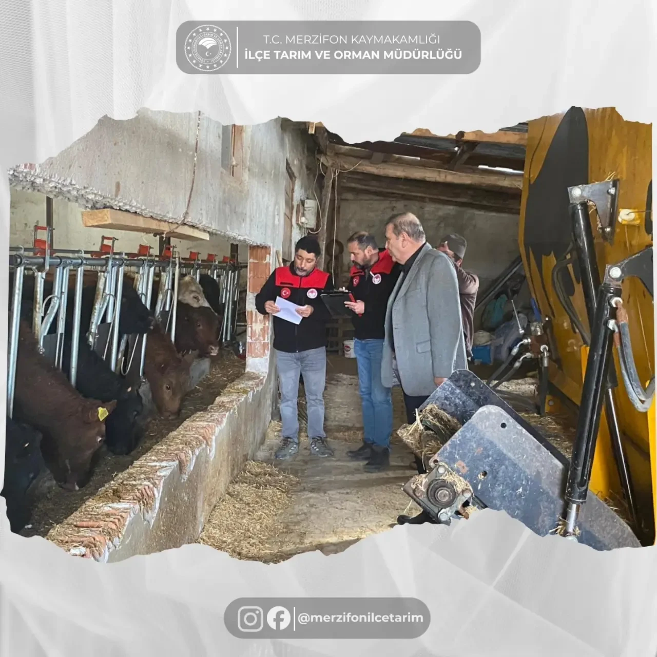 Merzifon’da Hayvancılığa Yakın Takip 3