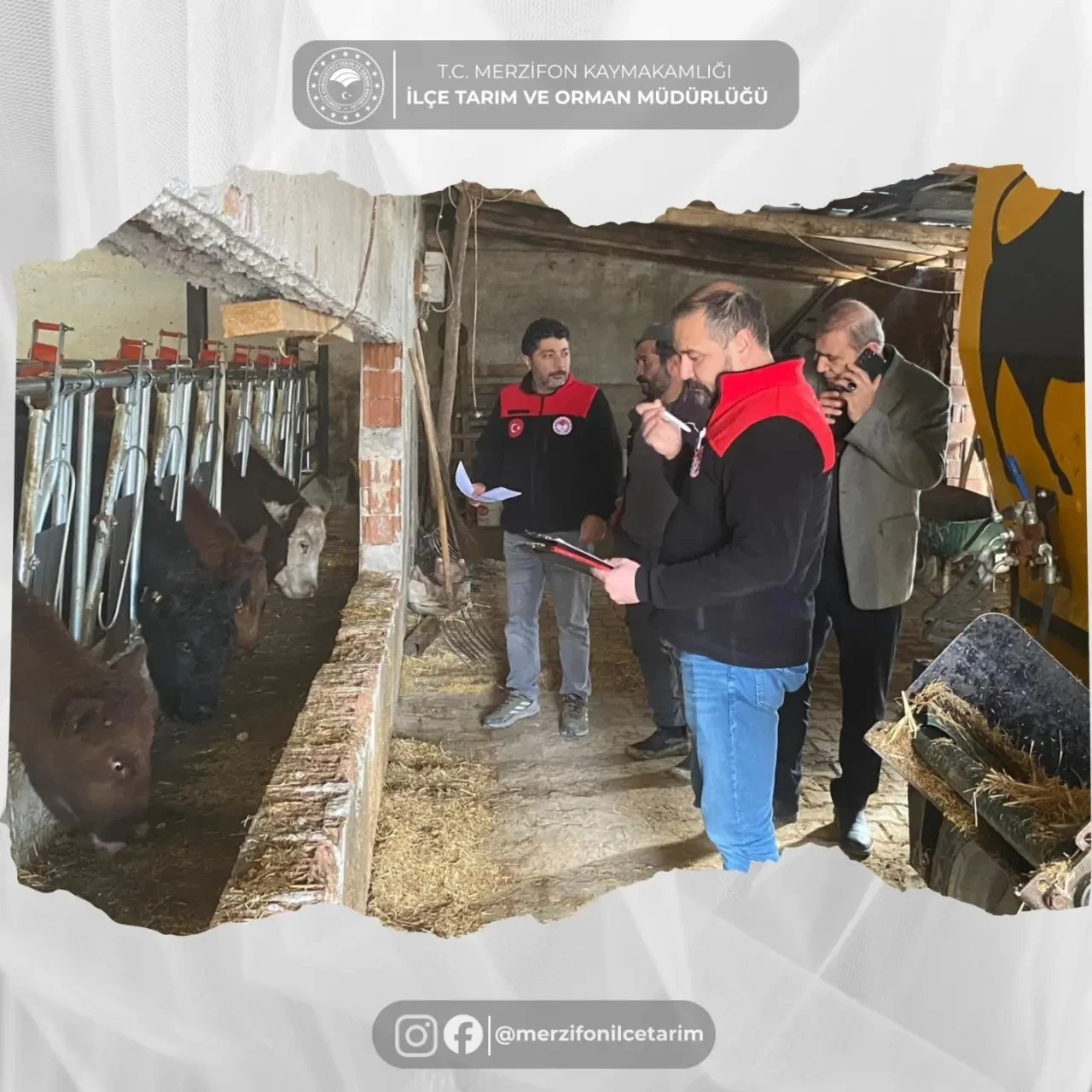 Merzifon’da Hayvancılığa Yakın Takip 2