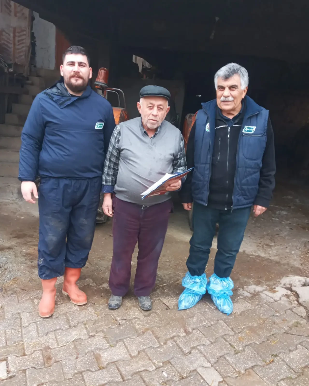 Amasya’da Hayvancılıkta Islah Hamlesi 1