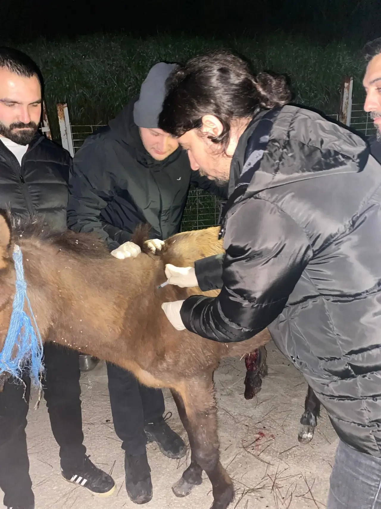 Amasya’da Yaralı Ata Belediye Şefkati 1