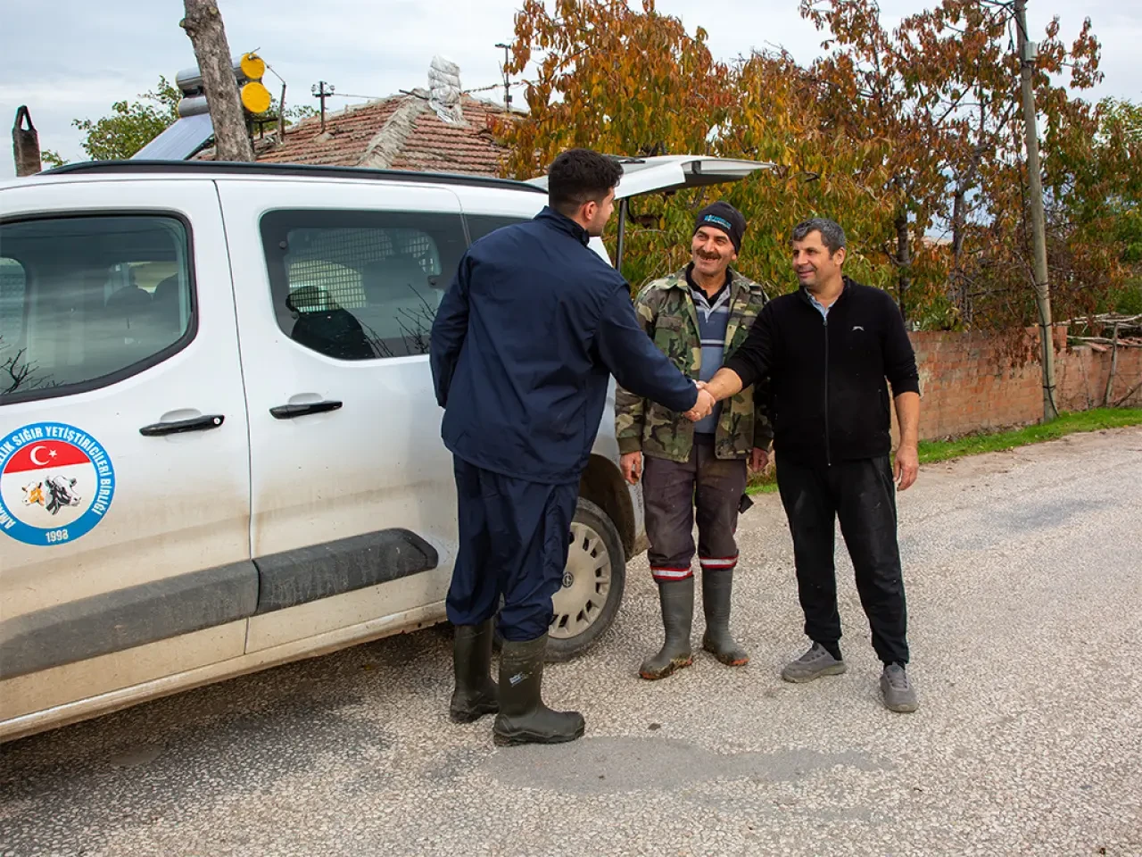 Amasya’da Buzağılar Tek Tek Kayıt Altında 1