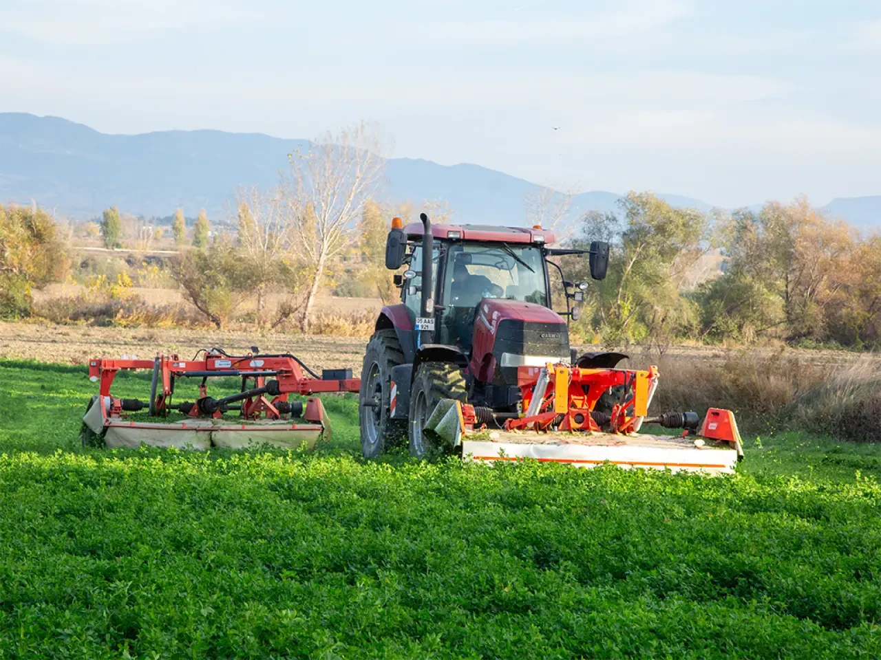 Amasya’da Yonca Üretimi Güç Kazanıyor 1