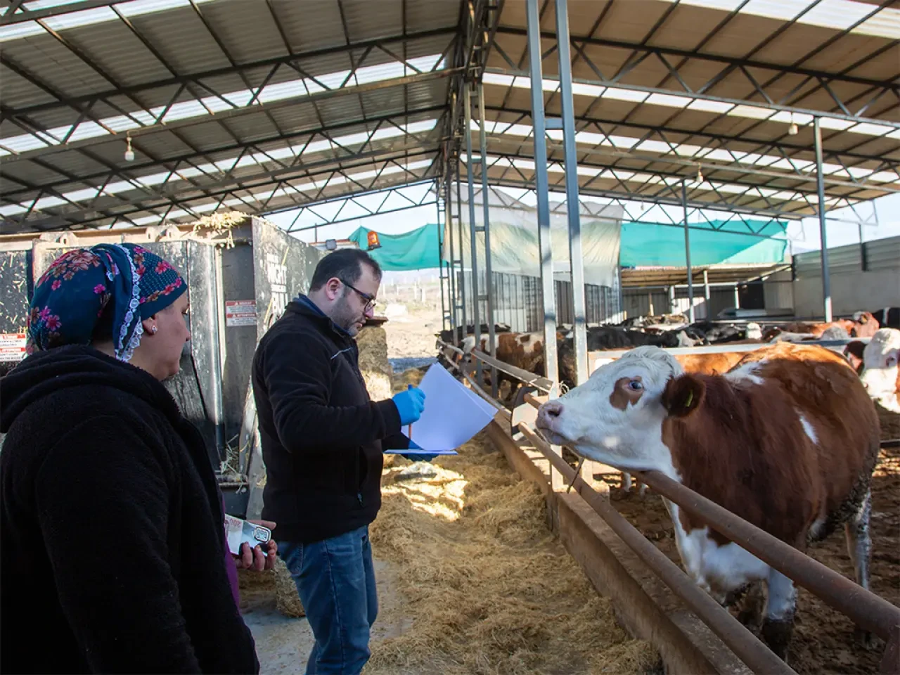 Amasya DSYB’den Kırsala Güçlü Destek 5