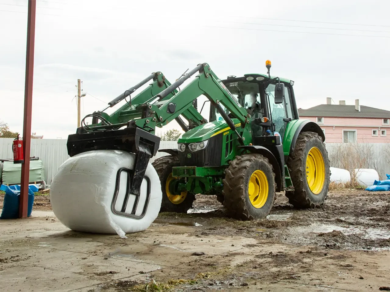 Amasya’da Yonca Üretimi Güç Kazanıyor 3