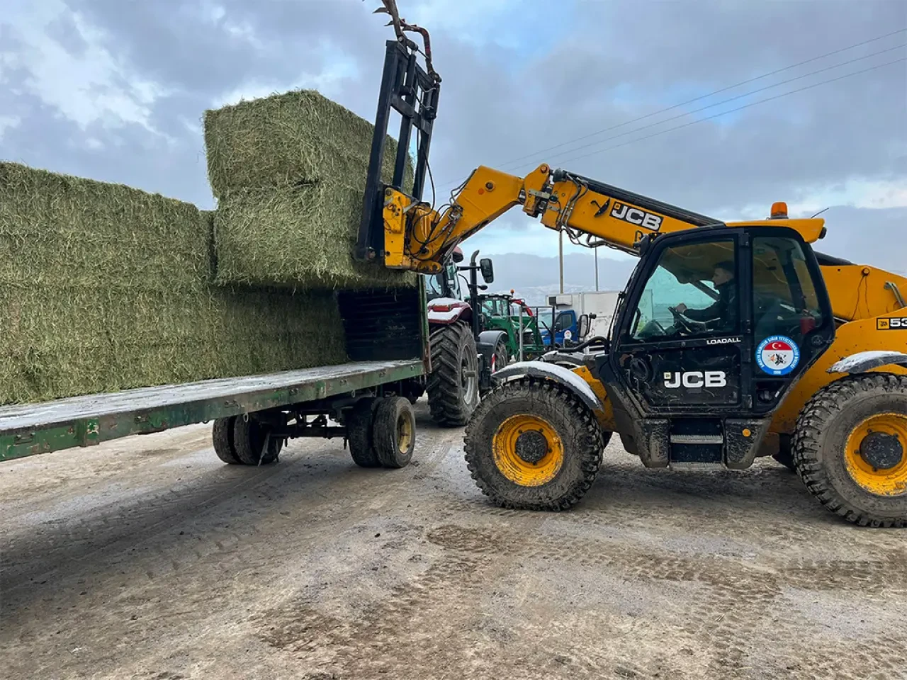 Amasya’da Yonca Üretimi Güç Kazanıyor 4