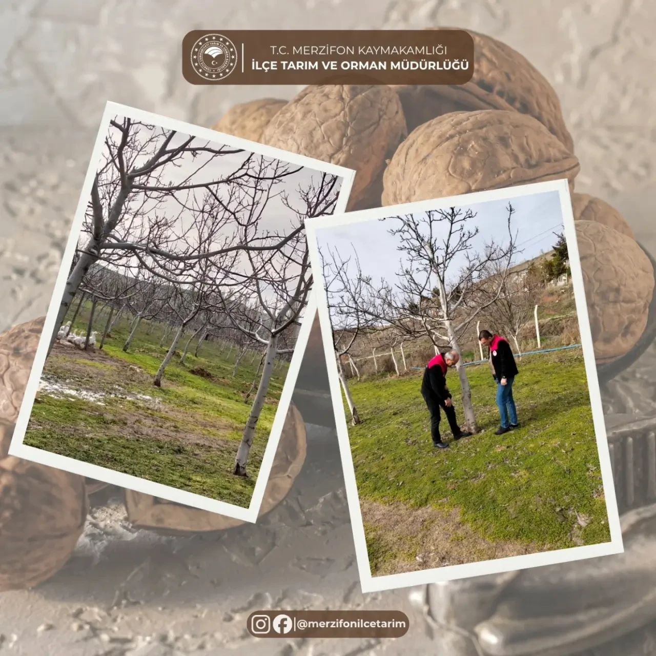 Merzifon’da Bahçe Denetimi 1