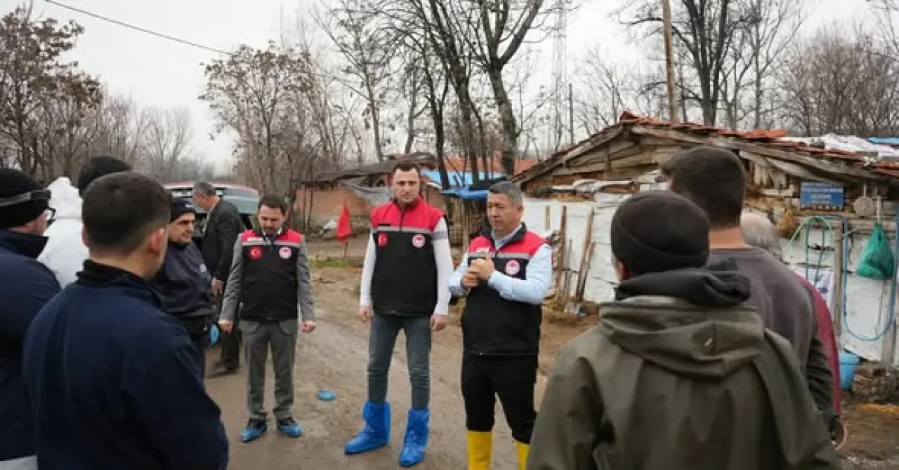 Suluova’da Şap ve Brusella Aşılama Çalışmaları 5