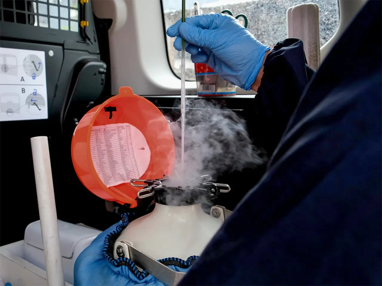 Amasya DSYB’den Hayvan Islahına Güçlü Katkı 4