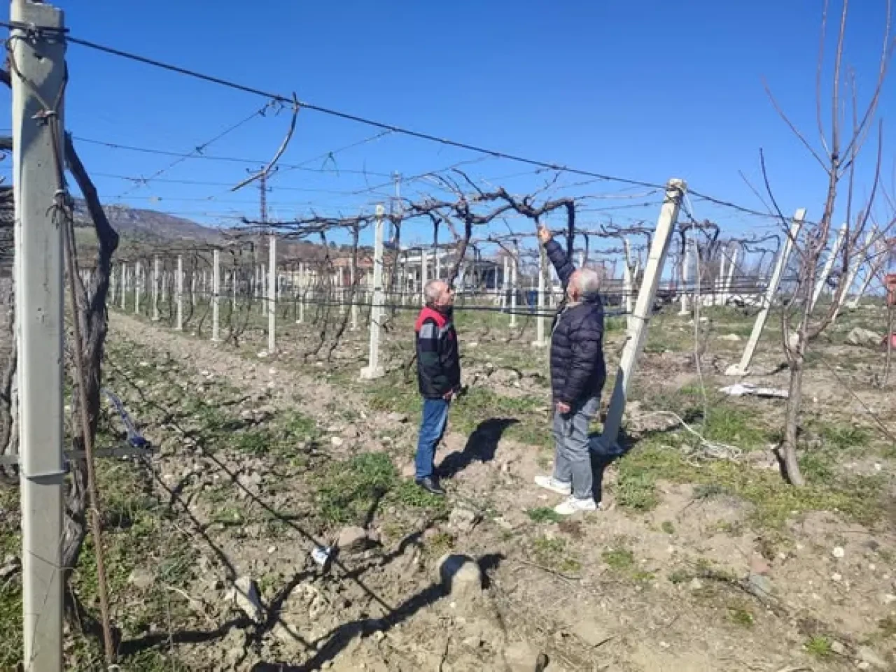 Amasya’da Bağlarda İlkbahar Mesaisi Başladı 1