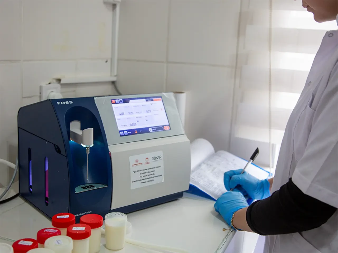 Amasya Süt Üretiminde Rekor 6