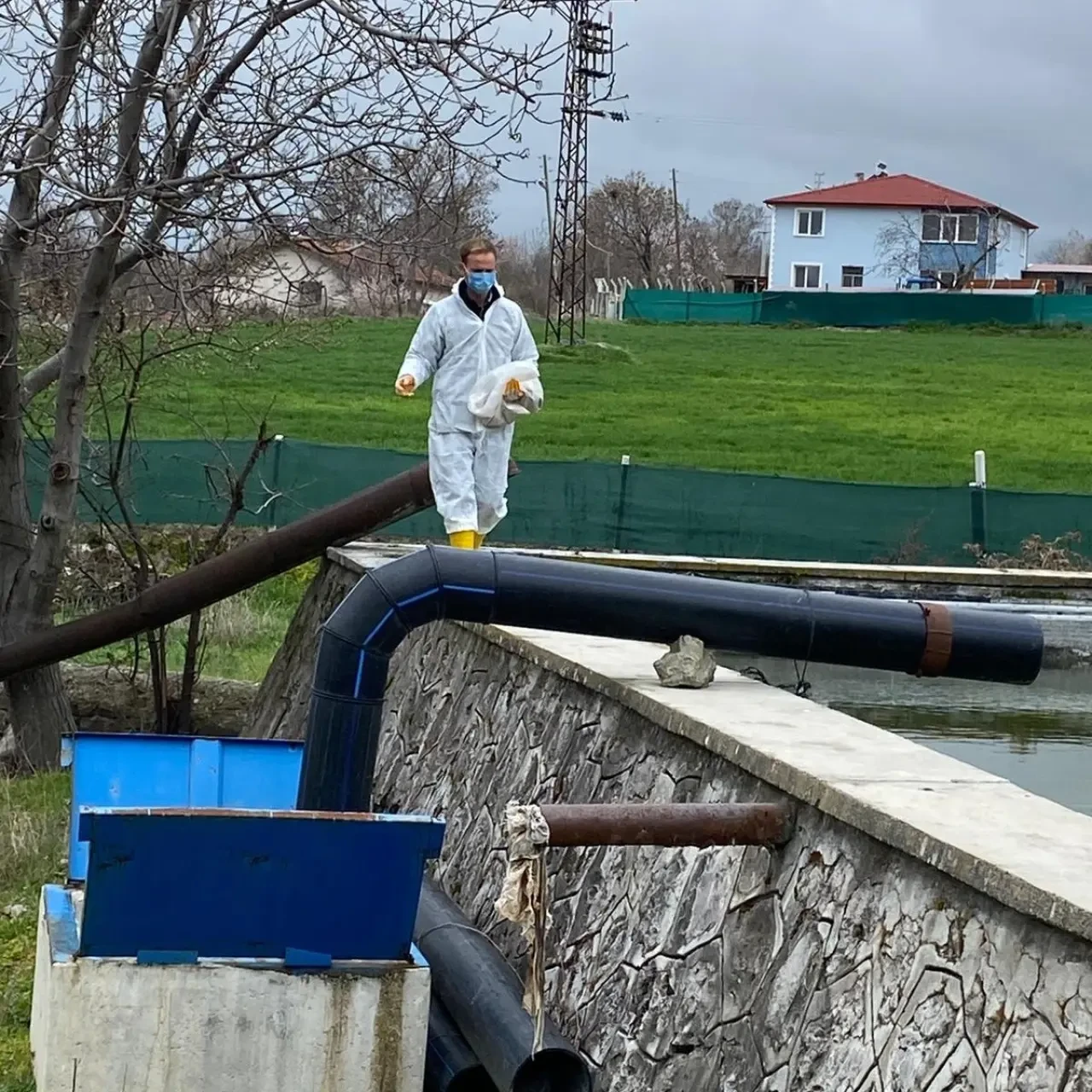 Merzifon’da Larvasit Çalışmaları Başladı 10