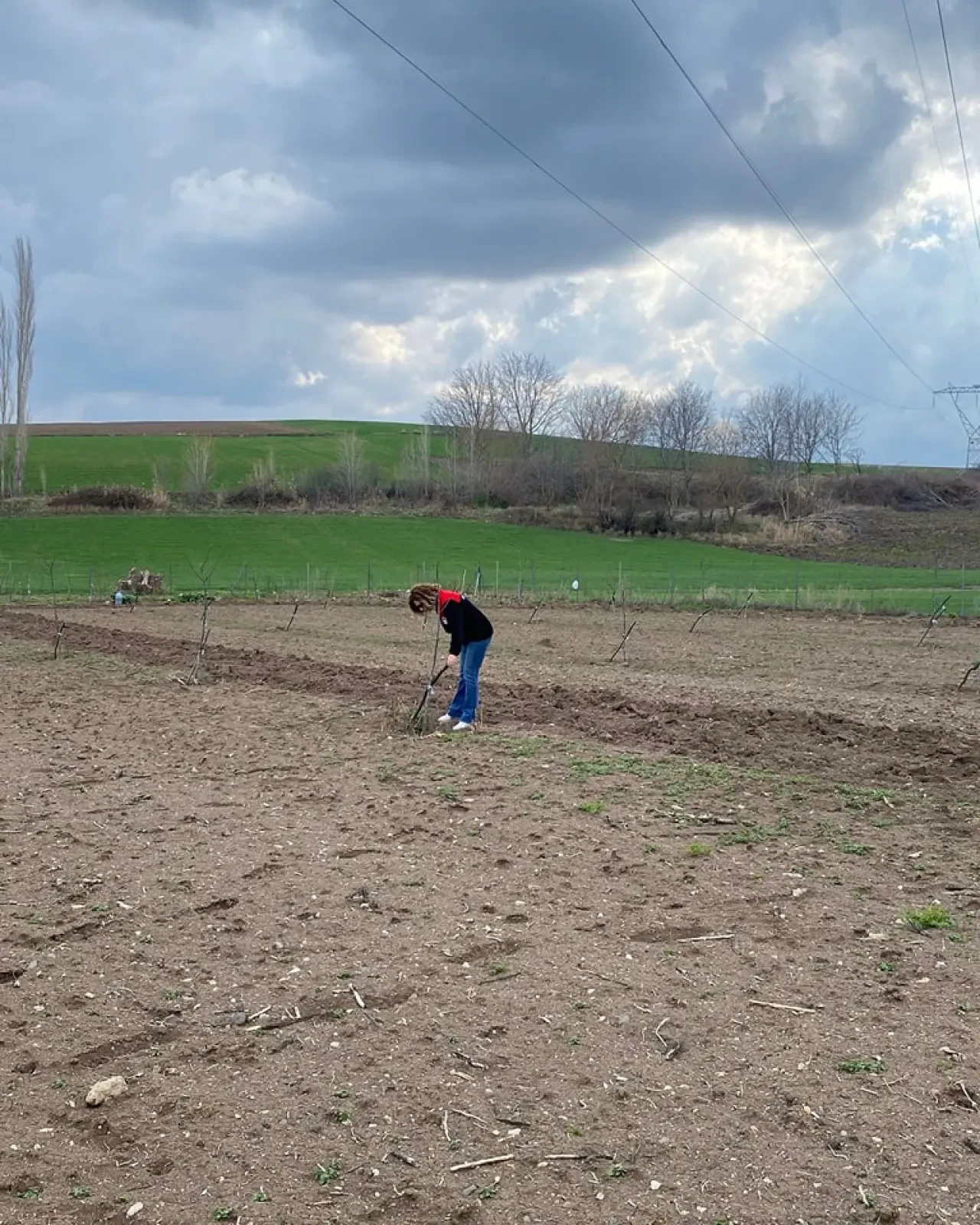 Merzifon’da Sertifikalı Fidan Denetimi 2