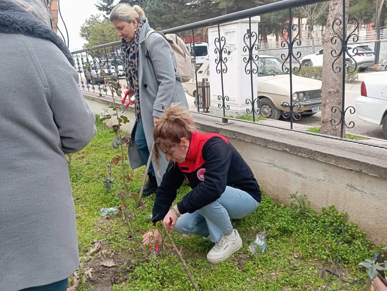 Merzifon’da Meyvecilikte Budama Kursuna Yoğun İlgi 4