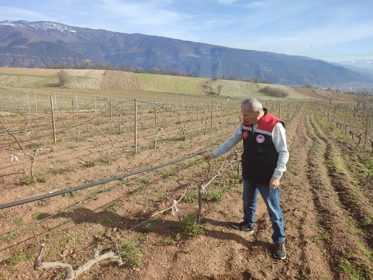 Amasya’da Bağlarda İlkbahar Mesaisi Başladı 3