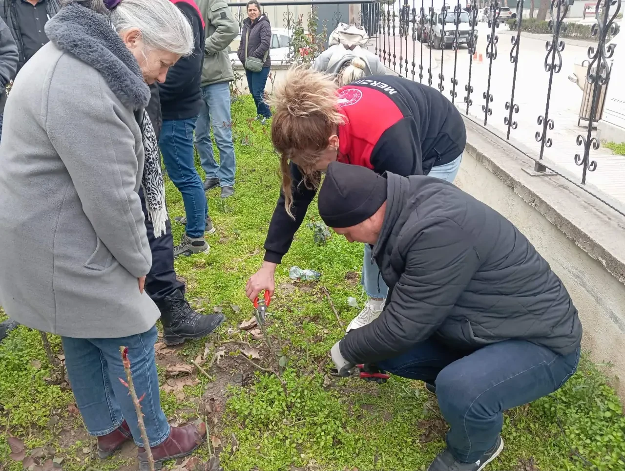 Merzifon’da Meyvecilikte Budama Kursuna Yoğun İlgi 3