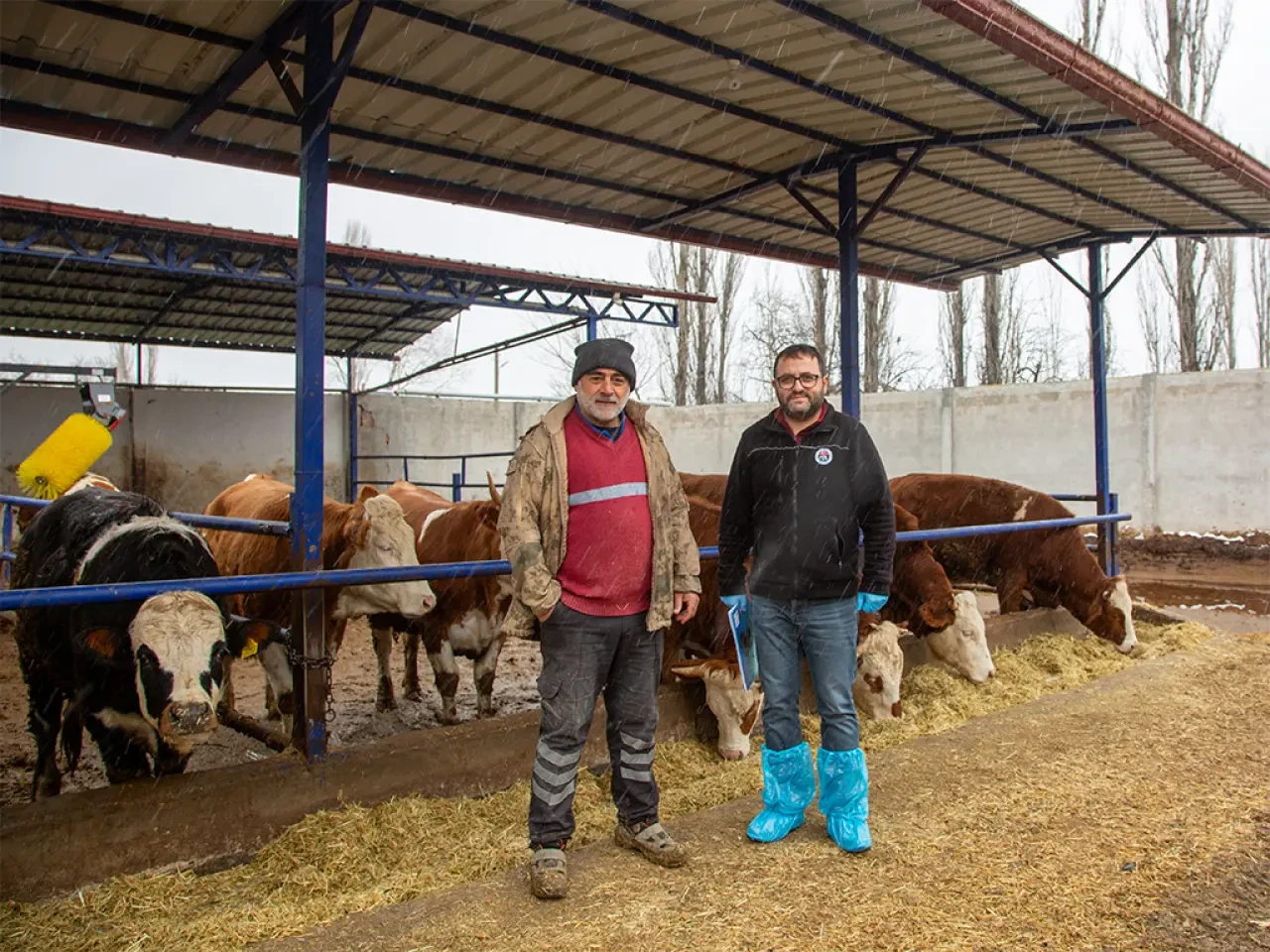Köyümde Yaşamak İçin Bir Sürü Nedenim Var 2