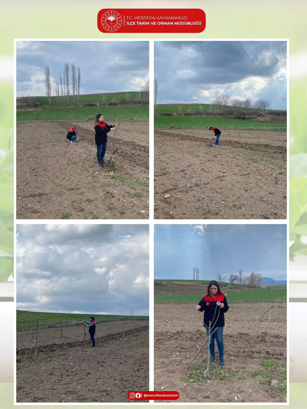 Merzifon’da Sertifikalı Fidan Denetimi 4