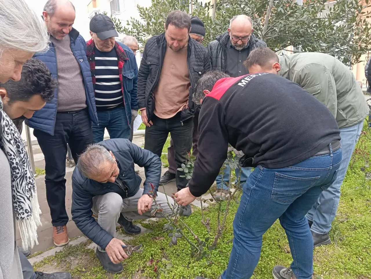Merzifon’da Meyvecilikte Budama Kursuna Yoğun İlgi 2