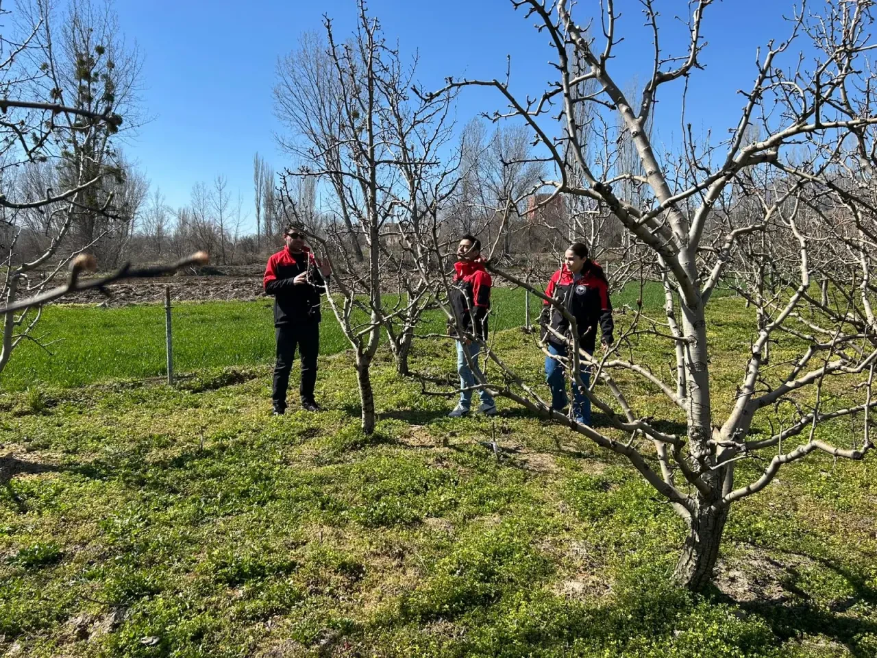 Göynücek’te Tarım Alarmı 5