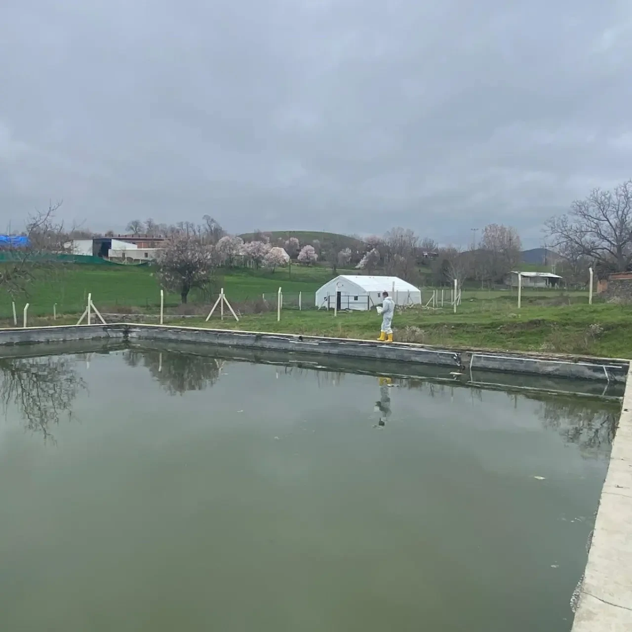 Merzifon’da Larvasit Çalışmaları Başladı 5