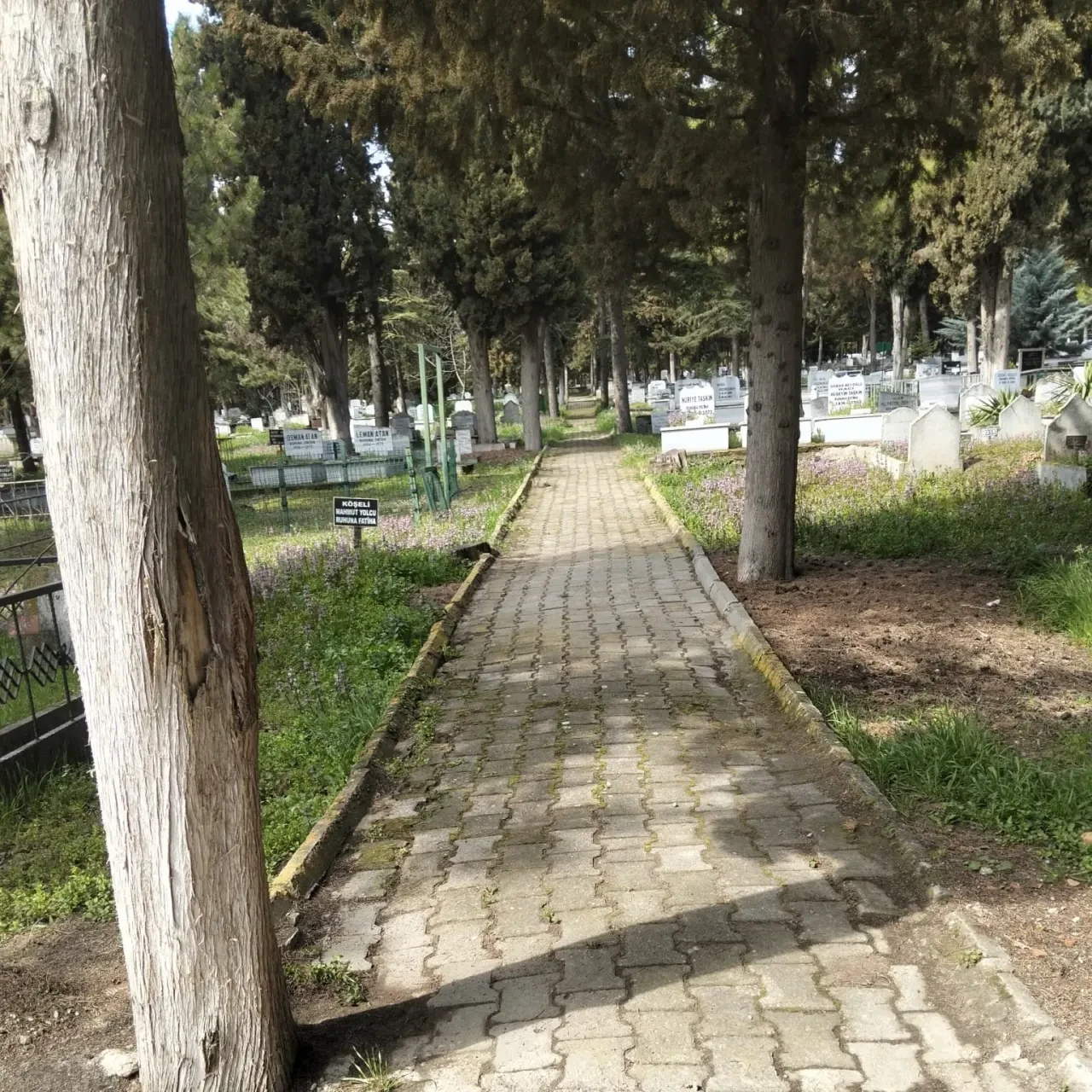 Merzifon Belediyesinden Temizlik Çalışması 13