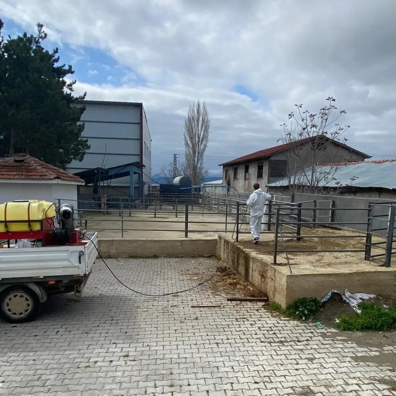 Merzifon’da Haşereye Geçit Yok! 4