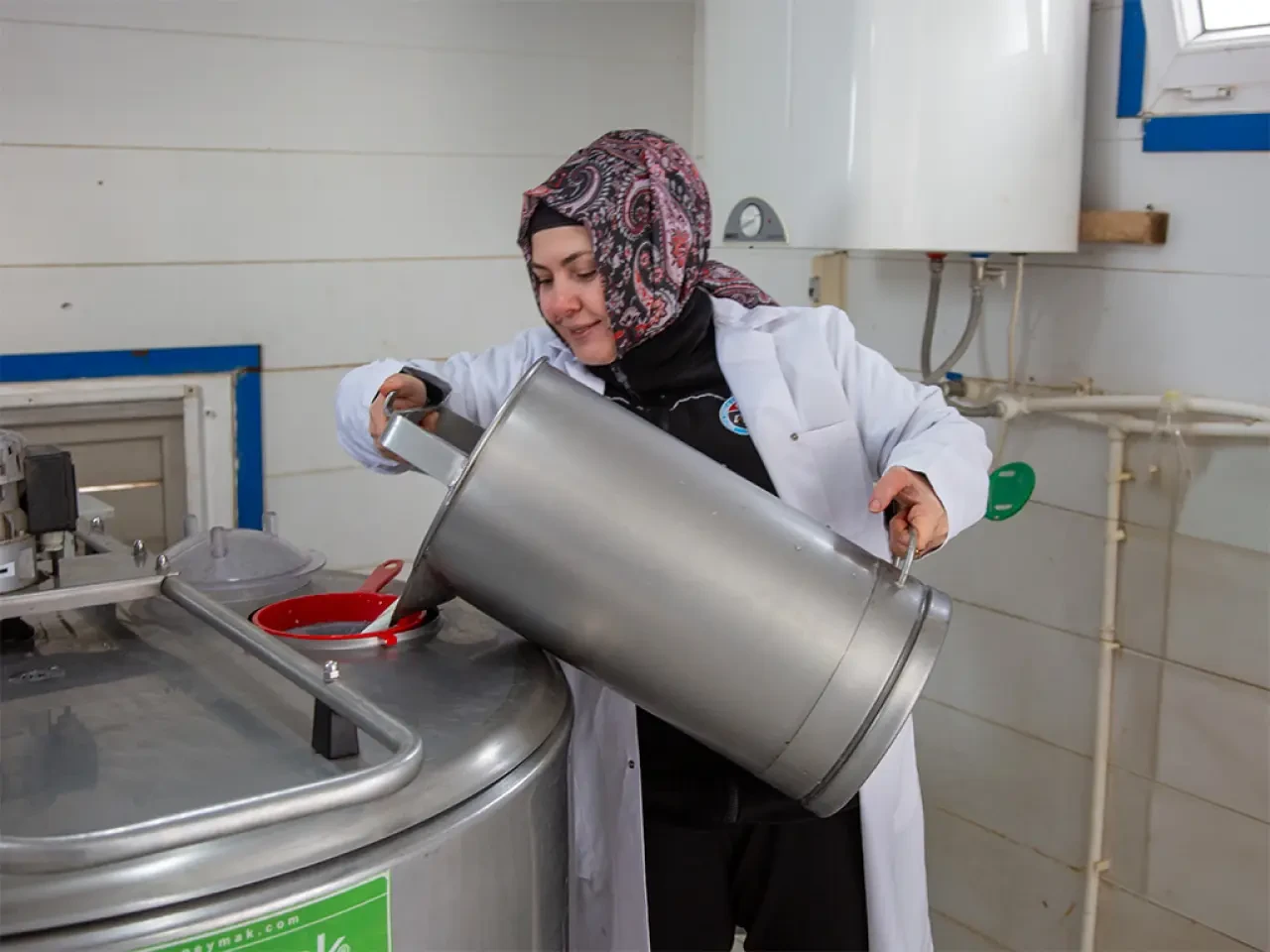 Merzifon’da Süt Devrimi Başladı! 2