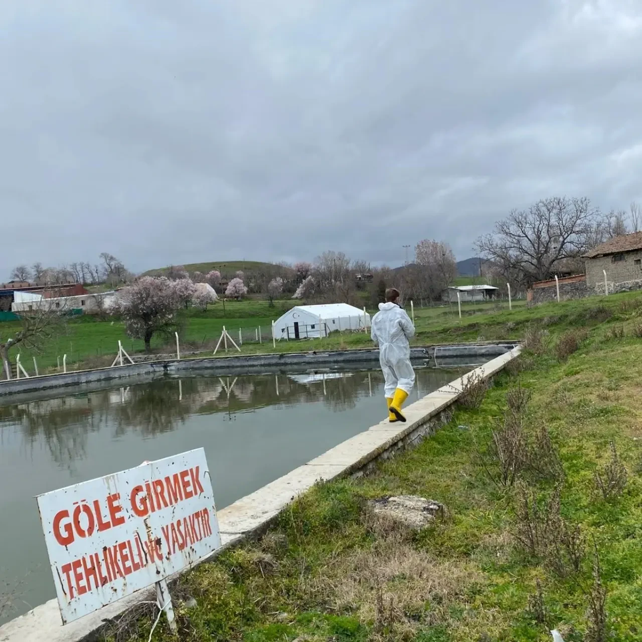 Merzifon’da Larvasit Çalışmaları Başladı 11