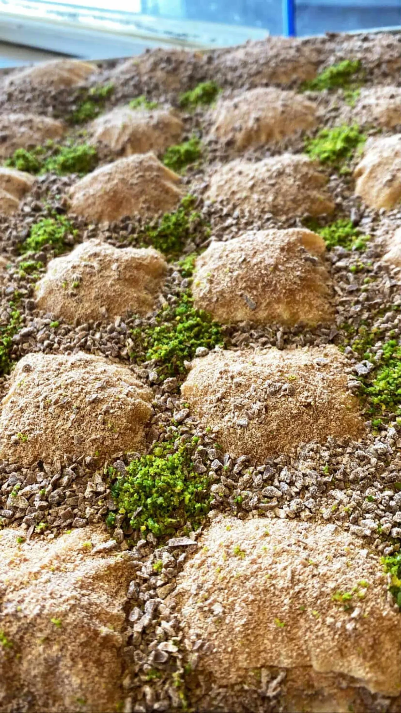 Merzifon’da Tatlı Alarmı! Baklava Tezgahları Kuruldu! 8