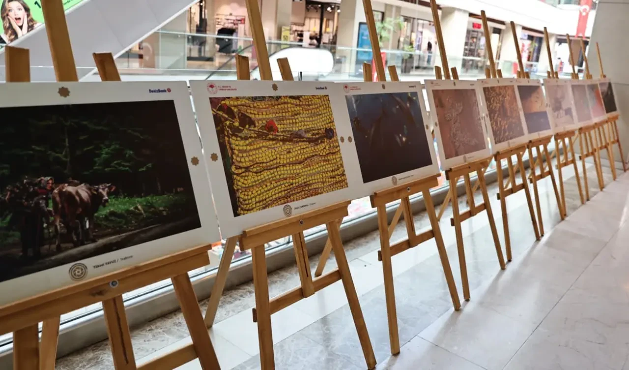 Amasya’da Sanat ve Doğa Buluştu! Sergiye Yoğun İlgi 3