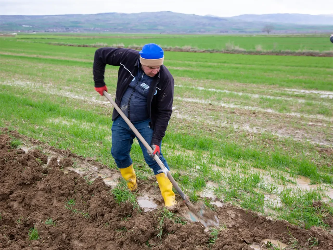 Merzifon’da 769 Dekarlık Tarım Hamlesi 2
