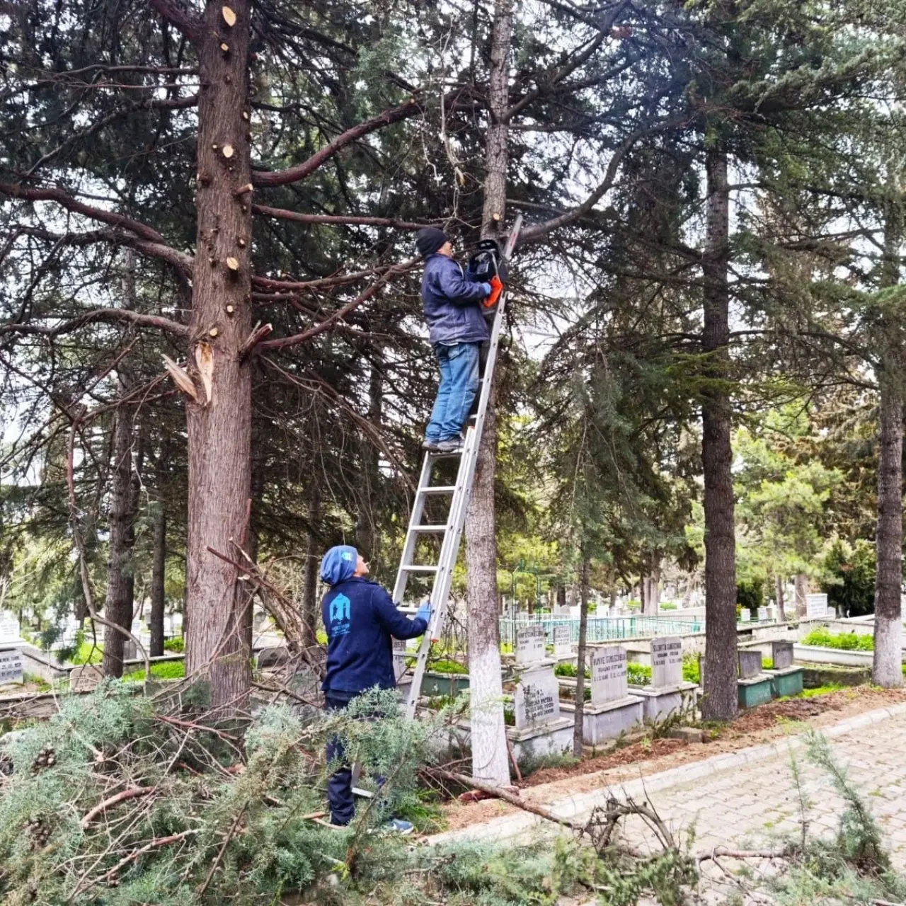 Merzifon Belediyesinden Temizlik Çalışması 5