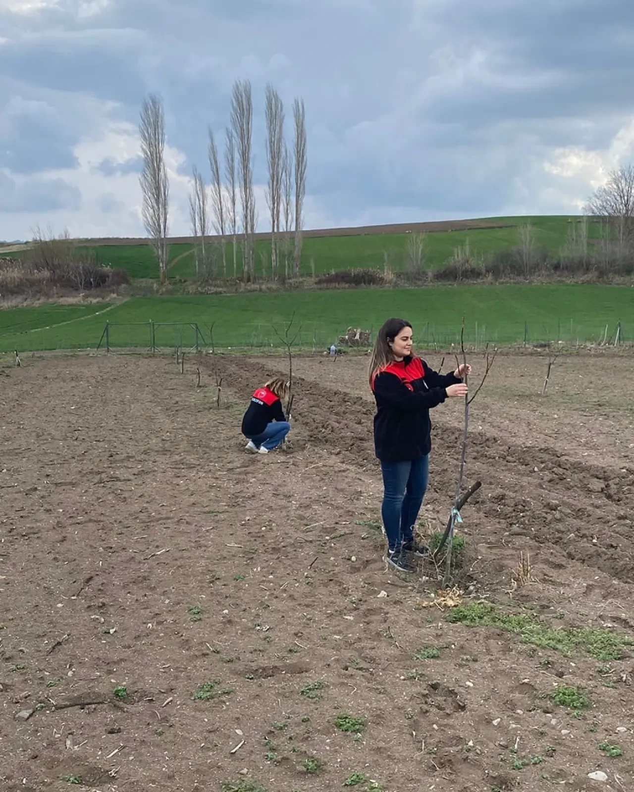 Merzifon’da Sertifikalı Fidan Denetimi 1