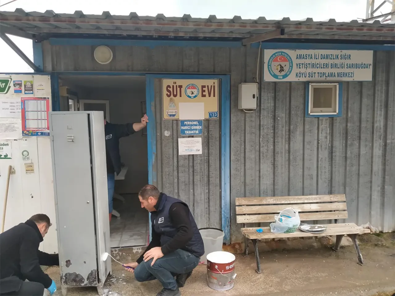 Amasya’da Süt Evlerinde Yoğun Çalışma 1