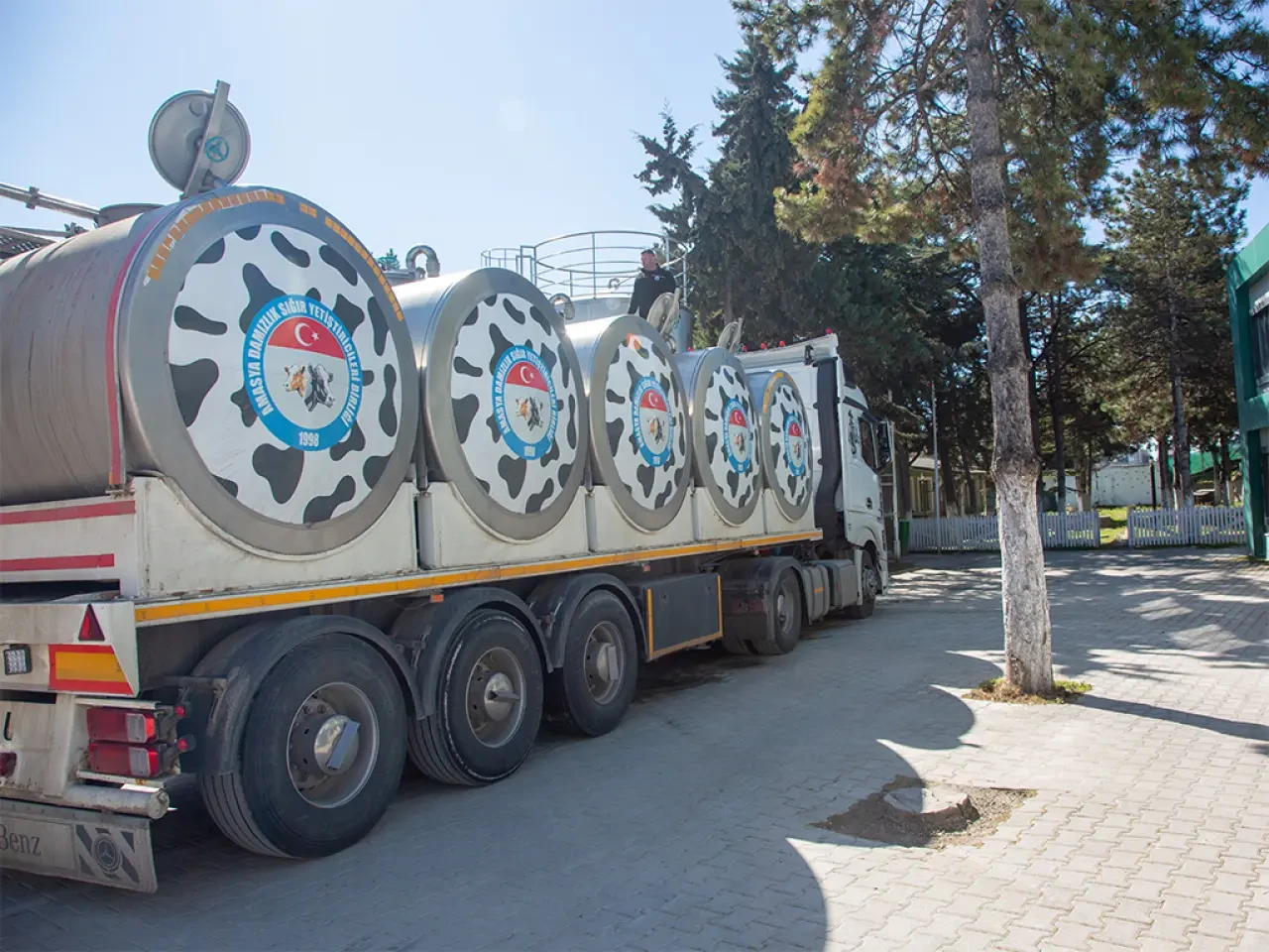 Amasya Süt Üretiminde Rekor 5