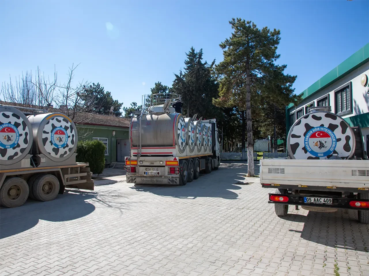 Amasya Süt Üretiminde Rekor 4