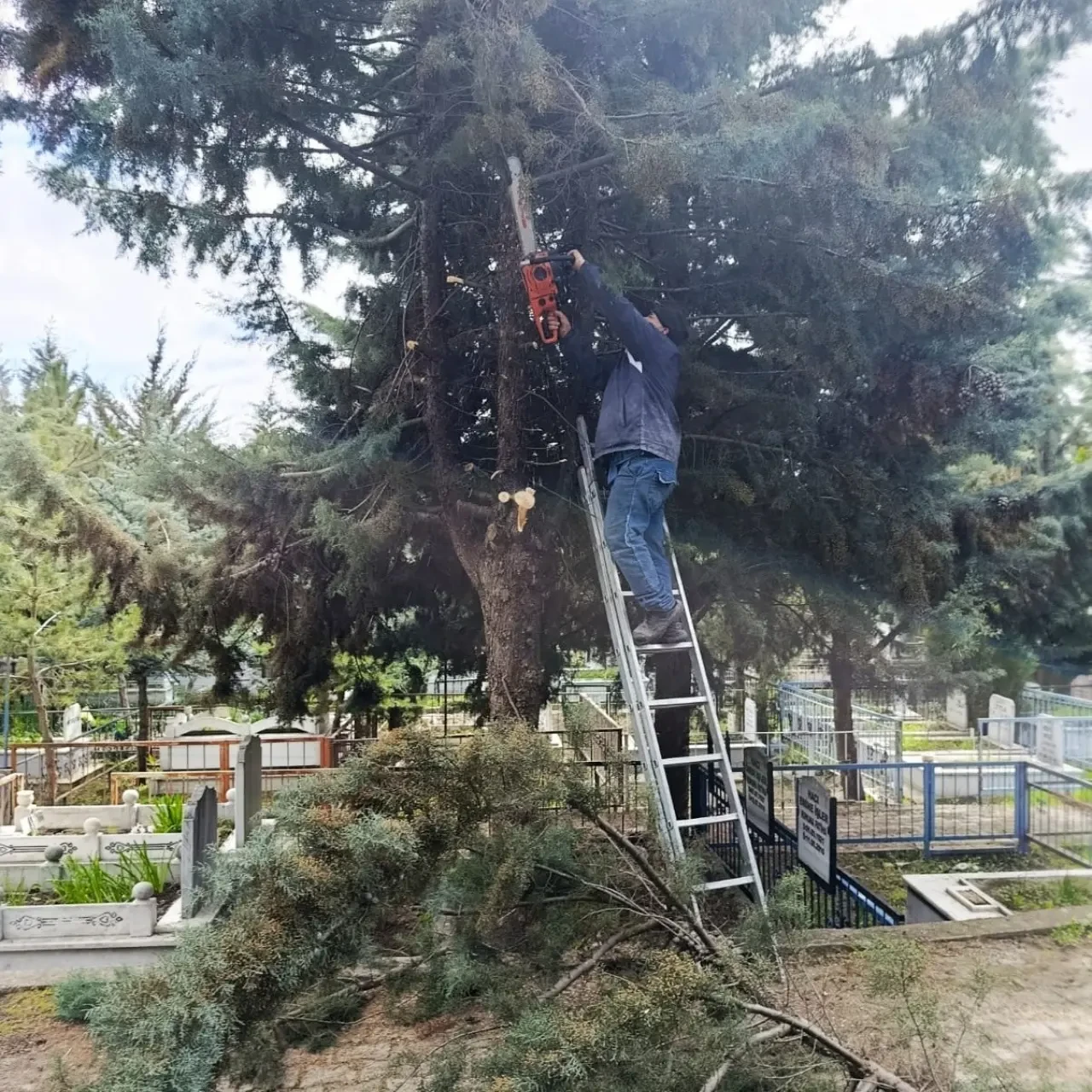 Merzifon Belediyesinden Temizlik Çalışması 8