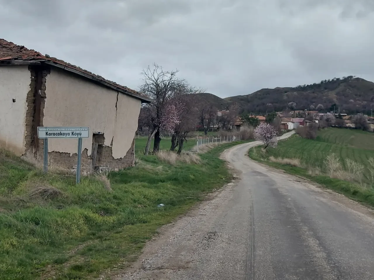 Amasya DSYB’den Üreticiye Destek 3