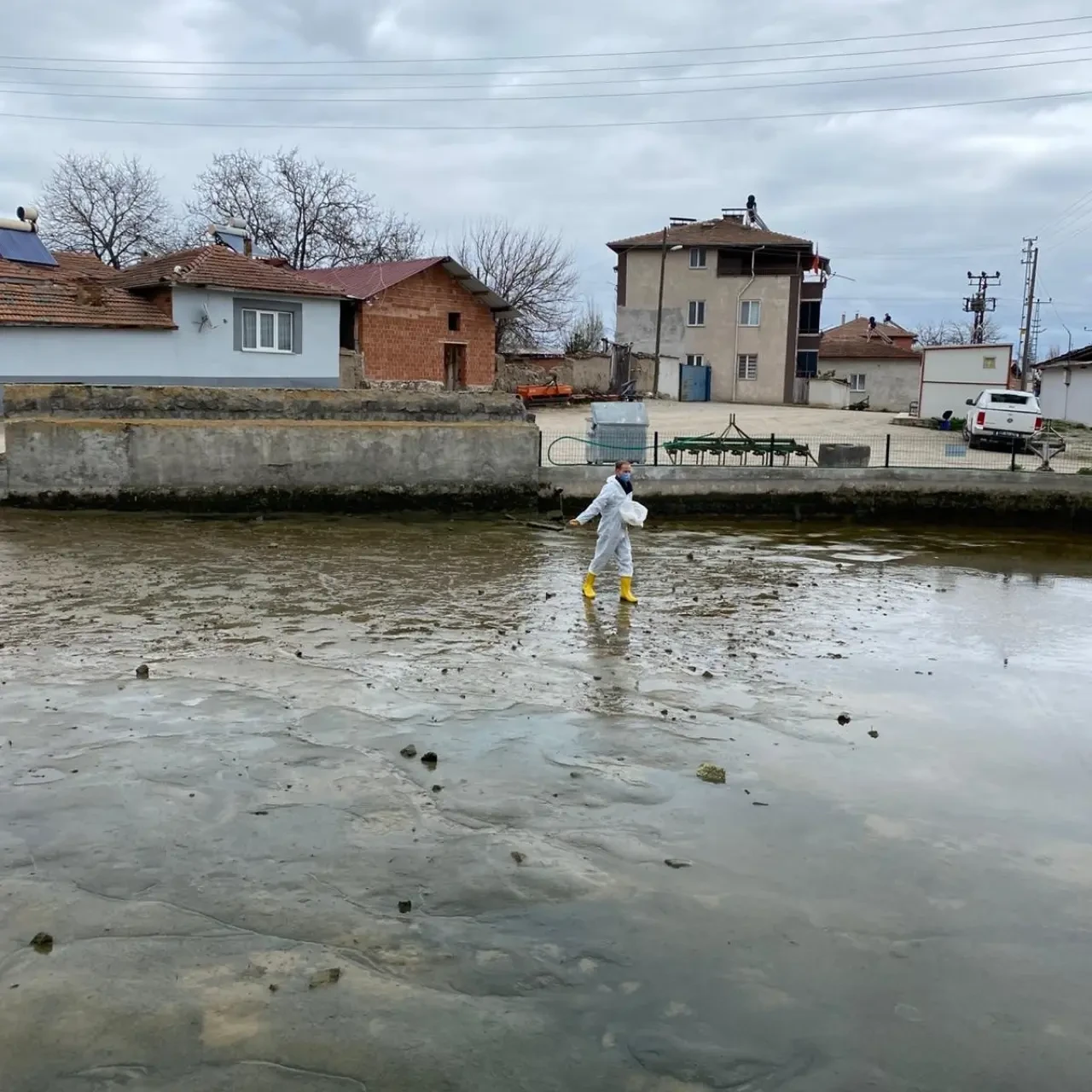 Merzifon’da Larvasit Çalışmaları Başladı 8