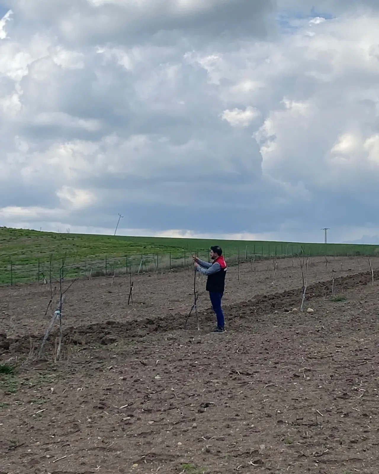 Merzifon’da Sertifikalı Fidan Denetimi 3