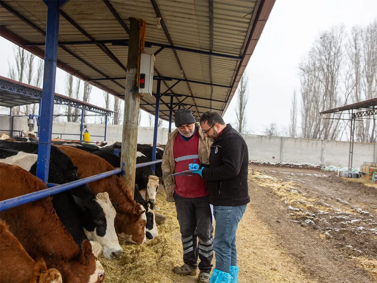 Köyümde Yaşamak İçin Bir Sürü Nedenim Var 3