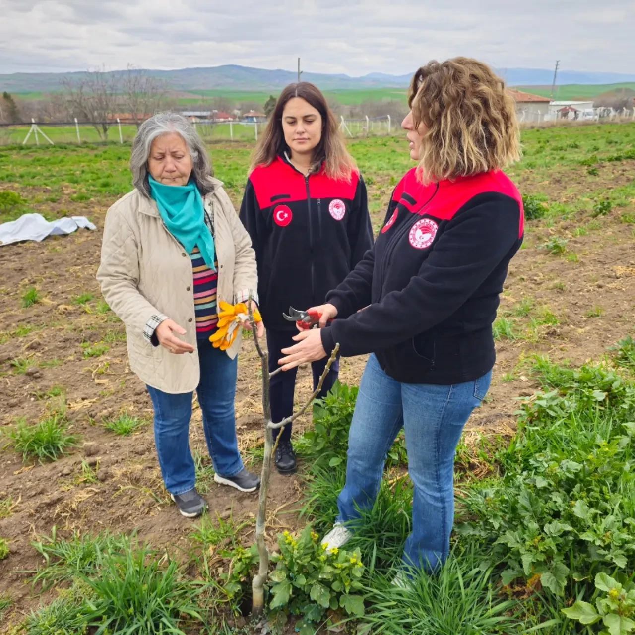 Merzifon’da Üreticiye ‘Doğru Bakım’ Eğitimi! 1